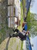 20240510 145209 Tungelem.jpg - 2024:05:10 14:52:09