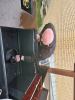 20240510 145223 Tungelem.jpg - 2024:05:10 14:52:23