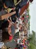 20240525 103702 Tungelem.jpg - 2024:05:25 10:37:02