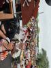 20240525 103710 Tungelem.jpg - 2024:05:25 10:37:10