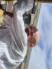 20240525 123733 Tungelem.jpg - 2024:05:25 12:37:33