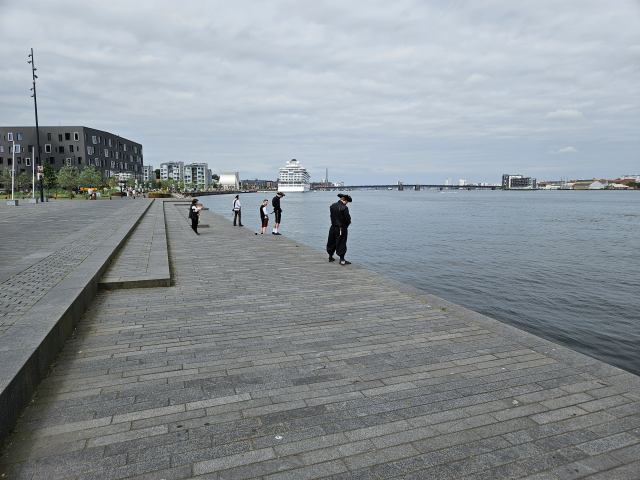 * Image 128