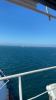 signal-2025-05-20-123725.jpeg - 
