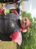 20250524_140524_Kaptajn Tunge Lem.jpg - 2025:05:24 14:05:24